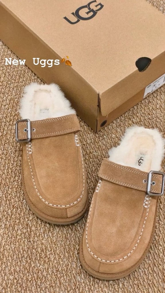 New Uggs — Goldenstar Evelina Clog in Chestnut.