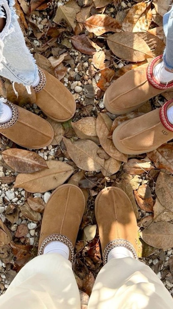 Tasmans in the leaves — chestnut with UGGbraid.